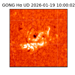gong - 2026-01-19T10:00:02