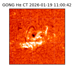 gong - 2026-01-19T11:00:42