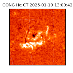 gong - 2026-01-19T13:00:42