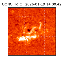 gong - 2026-01-19T14:00:42