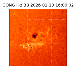 gong - 2026-01-19T16:00:02