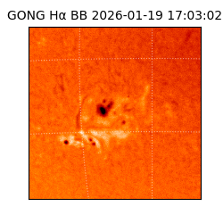 gong - 2026-01-19T17:03:02