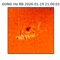 gong - 2026-01-19T21:00:02