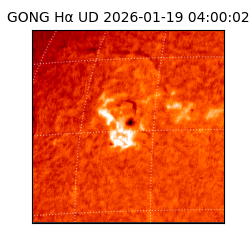 gong - 2026-01-19T04:00:02