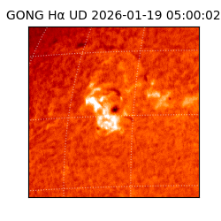 gong - 2026-01-19T05:00:02