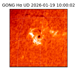 gong - 2026-01-19T10:00:02