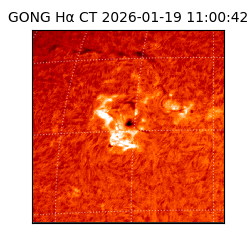 gong - 2026-01-19T11:00:42