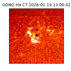 gong - 2026-01-19T13:00:42