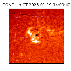 gong - 2026-01-19T14:00:42