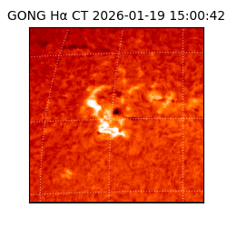 gong - 2026-01-19T15:00:42