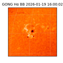 gong - 2026-01-19T16:00:02