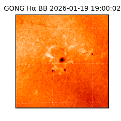 gong - 2026-01-19T19:00:02