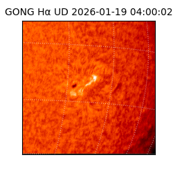 gong - 2026-01-19T04:00:02