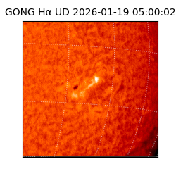 gong - 2026-01-19T05:00:02