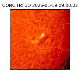 gong - 2026-01-19T09:00:02