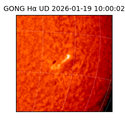 gong - 2026-01-19T10:00:02