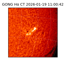 gong - 2026-01-19T11:00:42