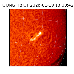 gong - 2026-01-19T13:00:42