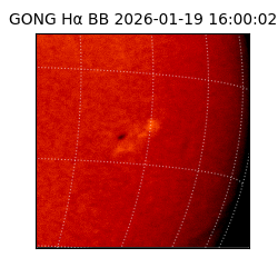 gong - 2026-01-19T16:00:02