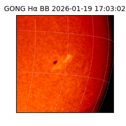 gong - 2026-01-19T17:03:02