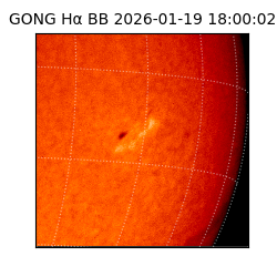 gong - 2026-01-19T18:00:02