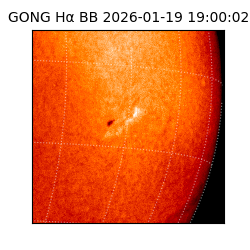 gong - 2026-01-19T19:00:02
