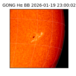 gong - 2026-01-19T23:00:02
