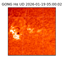 gong - 2026-01-19T05:00:02