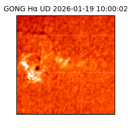 gong - 2026-01-19T10:00:02