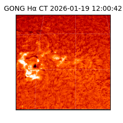 gong - 2026-01-19T12:00:42