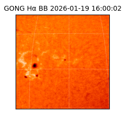 gong - 2026-01-19T16:00:02
