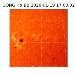 gong - 2026-01-19T17:03:02