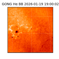 gong - 2026-01-19T19:00:02
