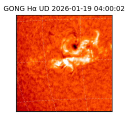 gong - 2026-01-19T04:00:02