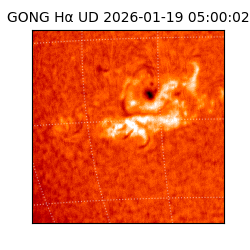 gong - 2026-01-19T05:00:02