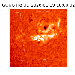 gong - 2026-01-19T10:00:02