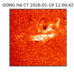 gong - 2026-01-19T11:00:42