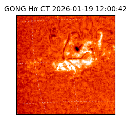 gong - 2026-01-19T12:00:42