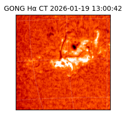 gong - 2026-01-19T13:00:42