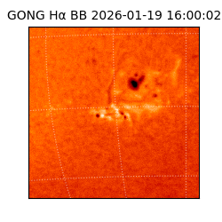 gong - 2026-01-19T16:00:02