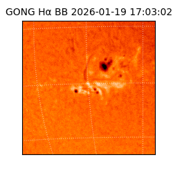 gong - 2026-01-19T17:03:02