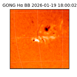 gong - 2026-01-19T18:00:02