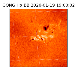 gong - 2026-01-19T19:00:02
