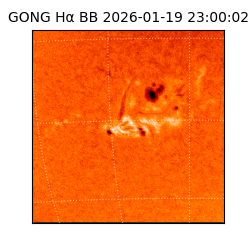 gong - 2026-01-19T23:00:02
