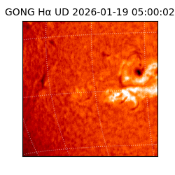 gong - 2026-01-19T05:00:02