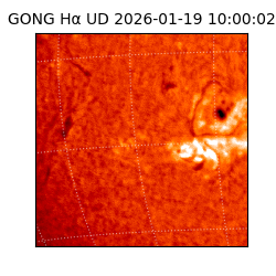 gong - 2026-01-19T10:00:02