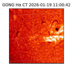 gong - 2026-01-19T11:00:42