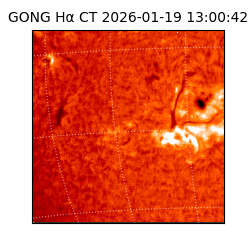 gong - 2026-01-19T13:00:42
