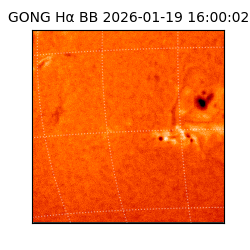 gong - 2026-01-19T16:00:02