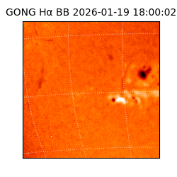 gong - 2026-01-19T18:00:02